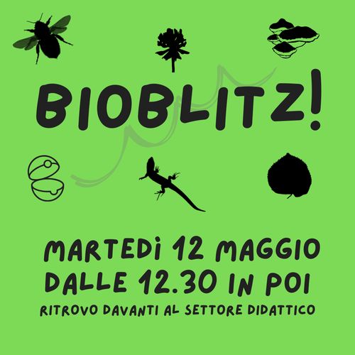 BIOBLITZ: Mappatura della Biodiversità di Città Studi