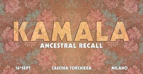 KAMALA: ancestral recall