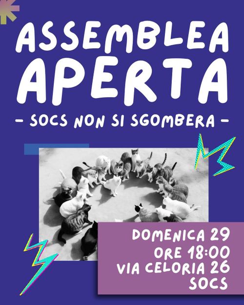 ASSEMBLEA APERTA - SOCS NON SI SGOMBERA

Foto di gattini che fanno assemblea