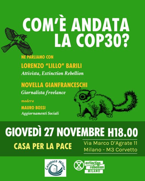 Com'è andata la COP30?