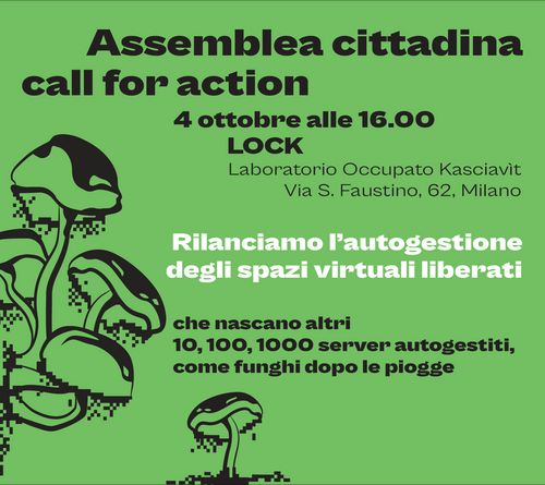 Assemblea cittadina, call for action pt 2