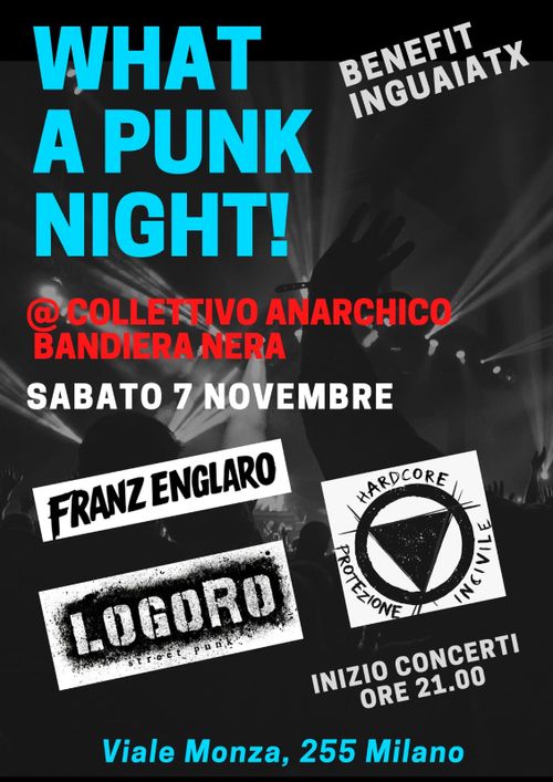 WHAT A PUNK NIGHT! Franz Englaro + Logoro + Protezione incivile