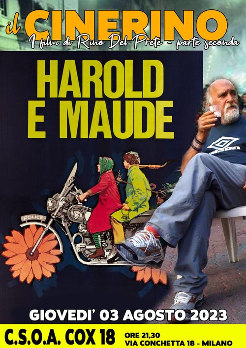 IL CINERINO: HAROLD E MAUDE