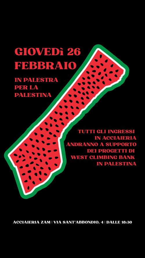 In palestra per la Palestina