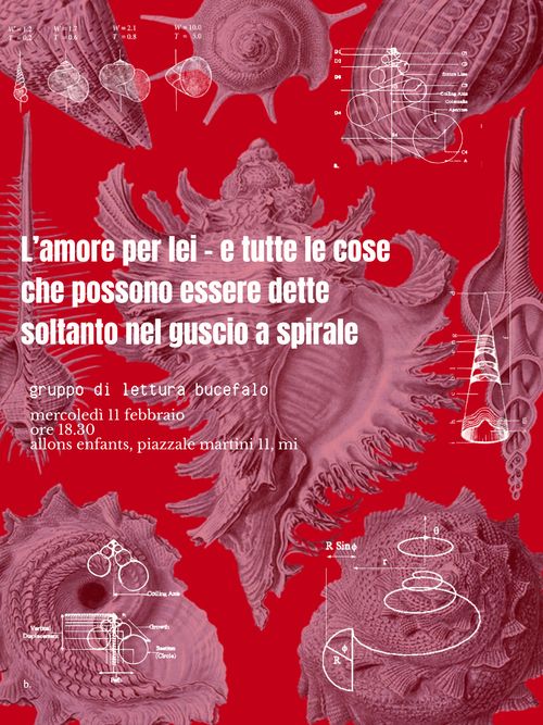 Gruppo di lettura Bucefalo | La spirale (Cosmicomiche, Calvino)