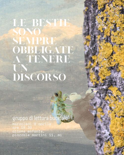 gruppo di lettura bucefalo | territorio e metamorfosi, baudrillard