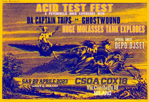 Acid Test Fest