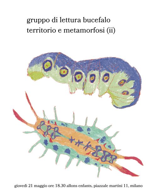 gruppo di lettura bucefalo - territorio e metamorfosi, baudrillard