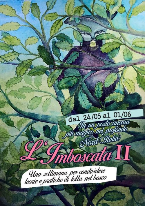 Imboscata II
