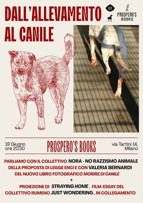 Locandina beige con scritte rosse e nere. In alto a dx c'è la foto di un cane, sembra un molosso, visto di terga, illuminato dall'ombra di una rete o delle sbarre. A fianco, sotto al disegno di un cagnolone in rosso, c'è il titolo: Dall'allevamento al canile.
seguono i dettagli: 19 Giugno ore 20.30, Prospero's Books, via Tartini 14, Milano.
Parliamo con il collettivo NORA – No razzismo animale della propsta di legge ENCI e con Valeria Bernardi del nuovo libro fotografico morire di canile + Proiezione di Straying Home, film-essay del collettivo rumeno Just Wondering, in collegamento.

in alto a dx c'è logo di Prospeto (una penna nel calamaio), quello di 100 idee e quello di bucefalo (una specie di cavallino a dondolo, che si tiene però in equilibrio su di un libro aperto)
